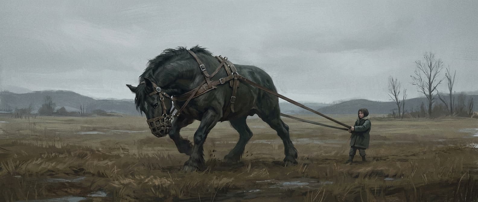 The Harness
